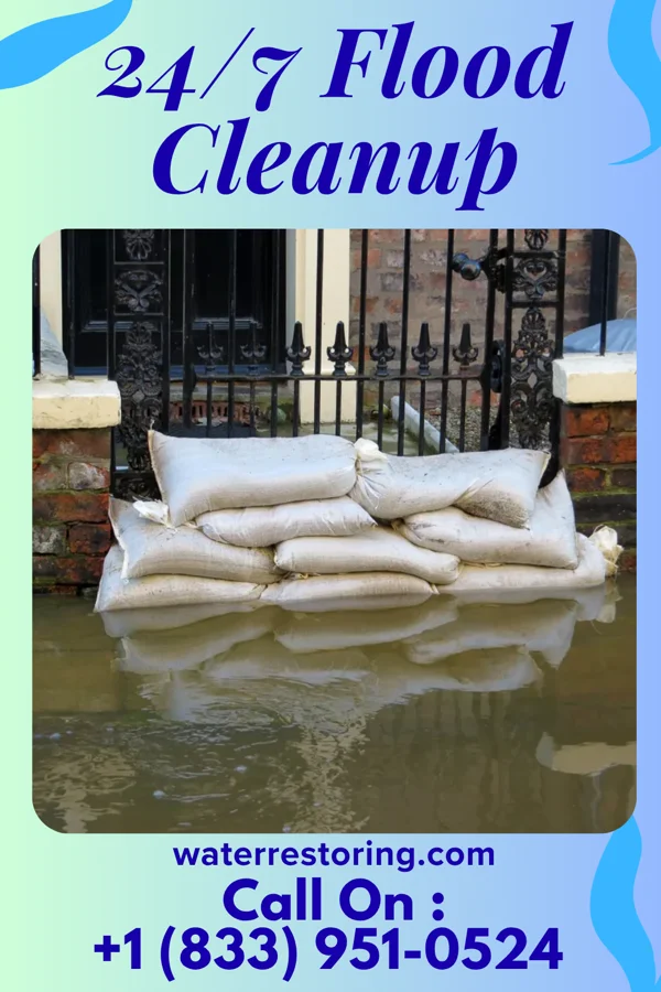 24/7 Flood Cleanup in Breckenridge, MI