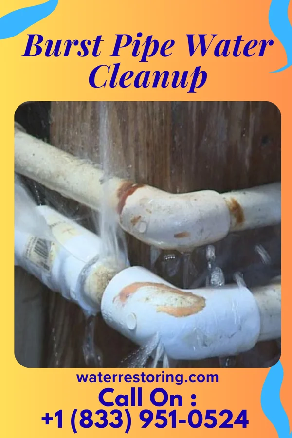 Burst Pipe Water Cleanup in Breckenridge, MI