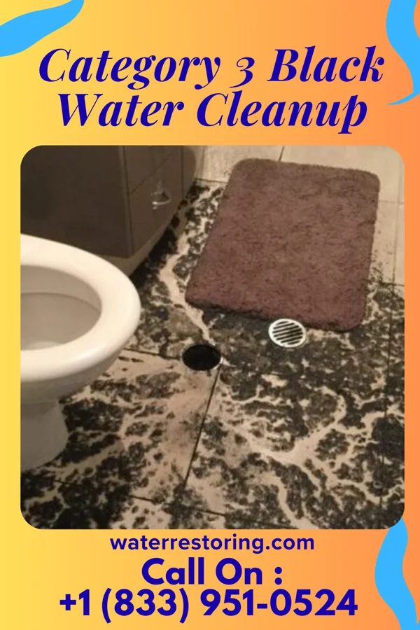 Category 3 Black Water Cleanup in Breckenridge, MI