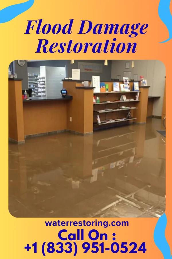 Flood Damage Restoration in Breckenridge, MI