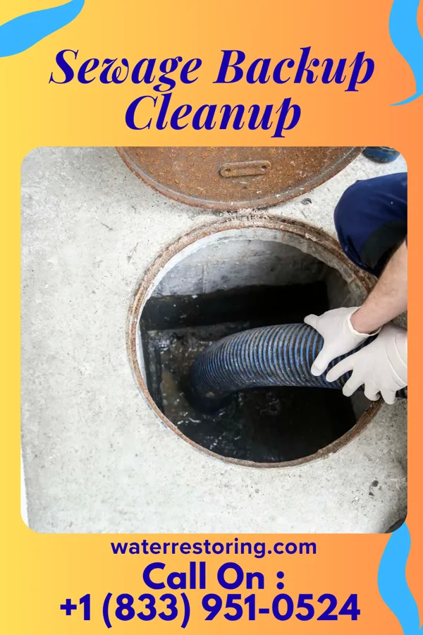 Sewage Backup Cleanup in Breckenridge, MI