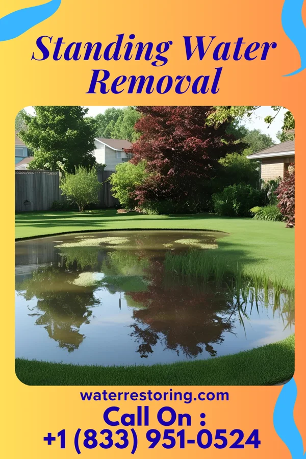 Standing Water Removal in Breckenridge, MI